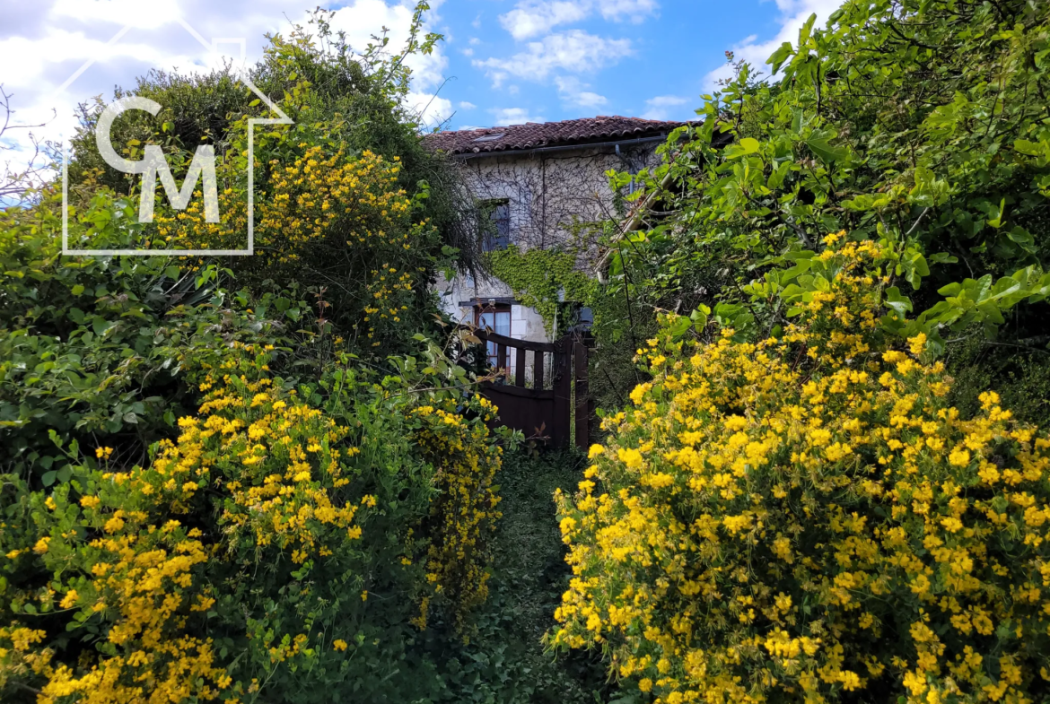 Charmante maison de 5 pièces avec jardin et garage à Saint-Séverin 