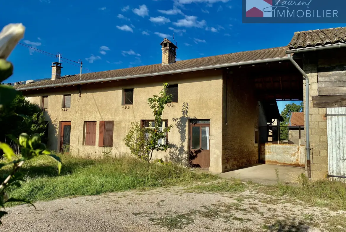 Maison à rénover avec dépendances et grand terrain à Boz 