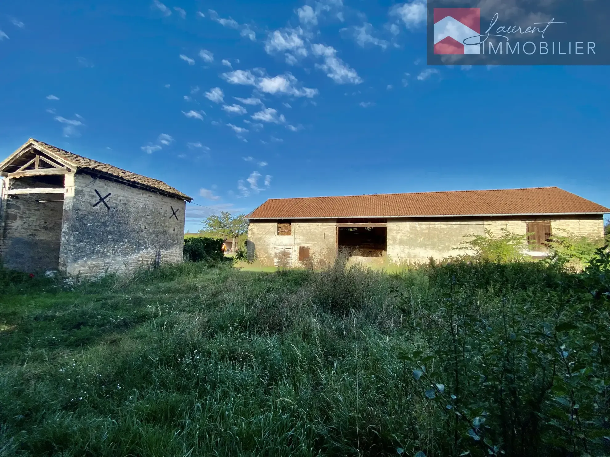 Maison à rénover avec dépendances et grand terrain à Boz 