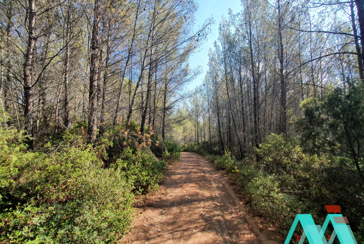 Vente de Terrain Non Constructible 1 Hectare à Le Beausset 