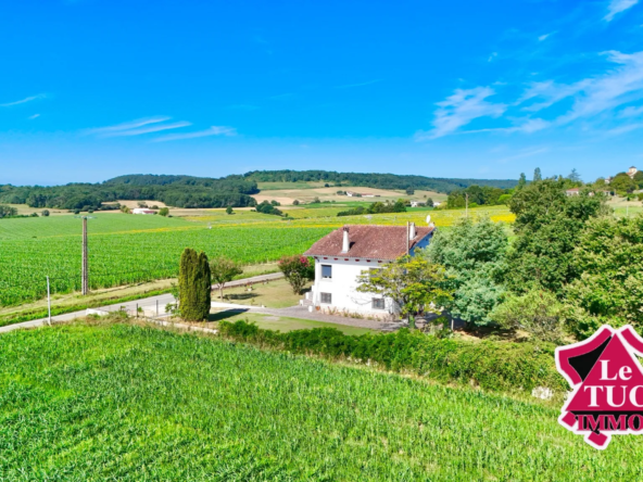 Maison en pierre avec 4 chambres et jardin à Saint-Sylvestre-sur-Lot