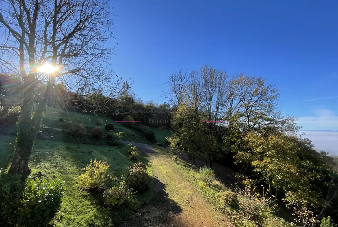 Maison d'architecte à Thizy-les-Bourgs avec vue panoramique 