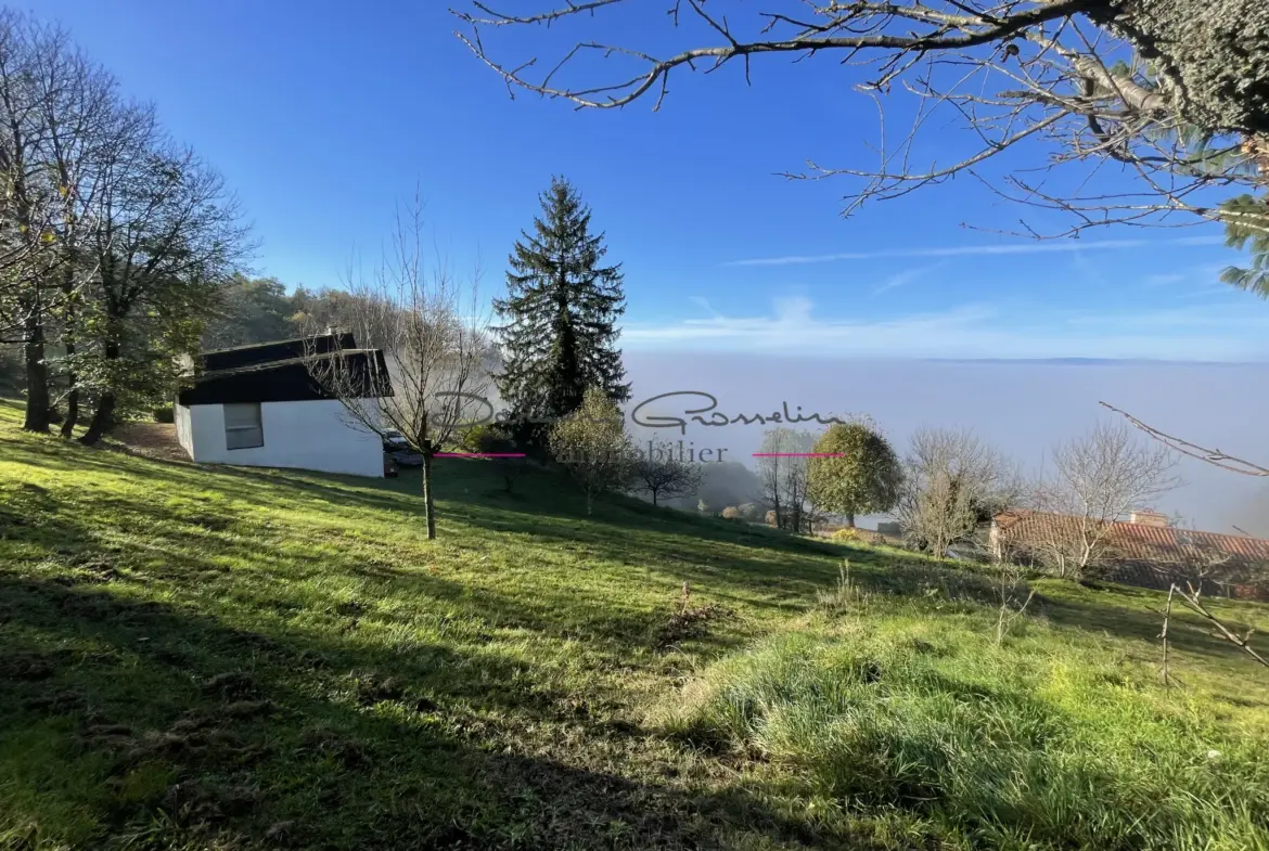 Maison d'architecte à Thizy-les-Bourgs avec vue panoramique 