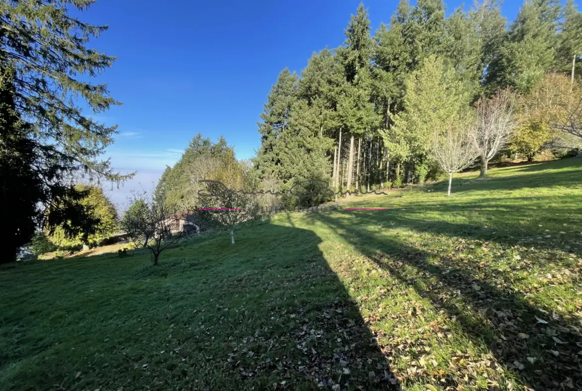 Maison d'architecte à Thizy-les-Bourgs avec vue panoramique 