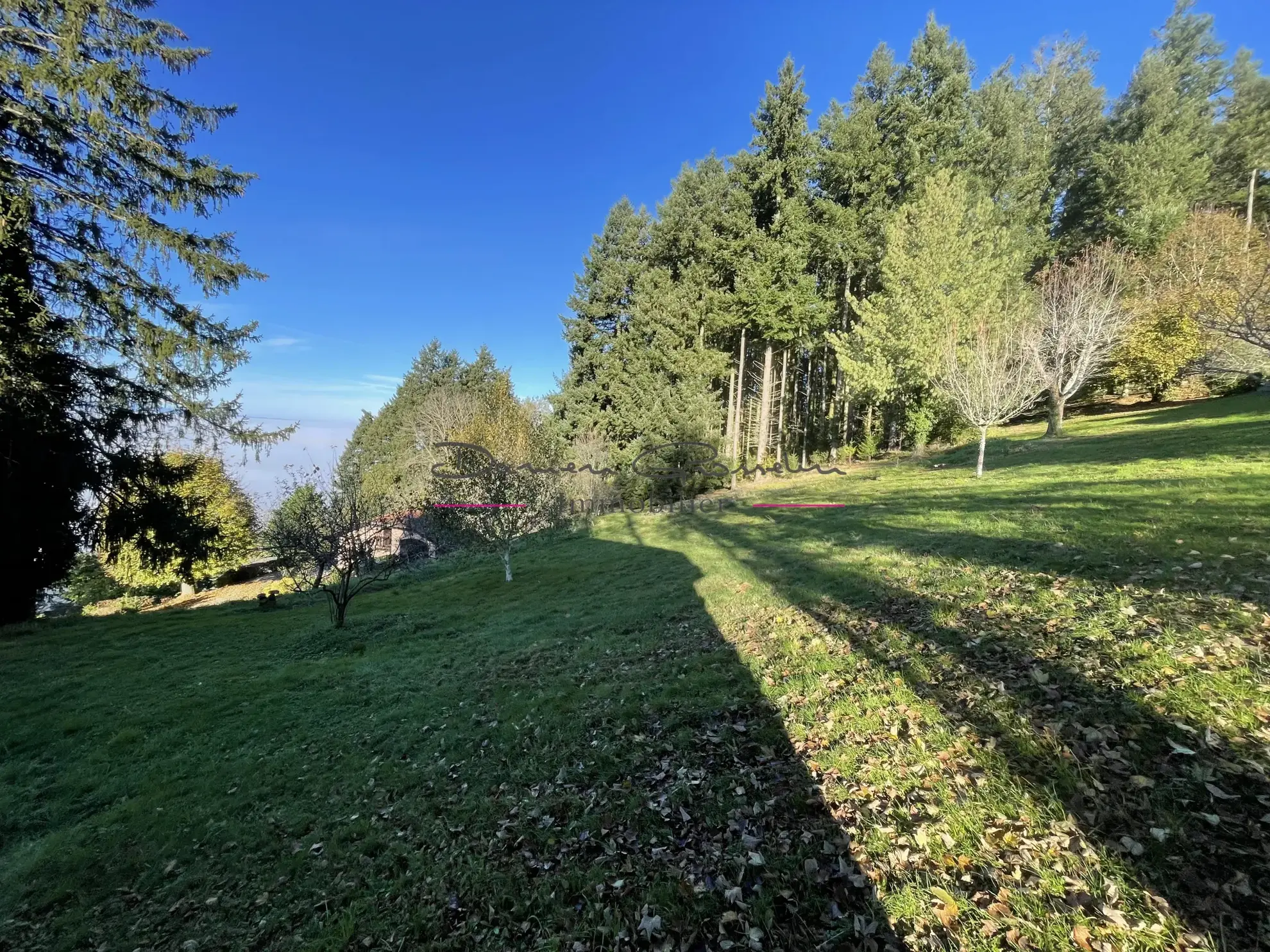 Maison d'architecte à Thizy-les-Bourgs avec vue panoramique 