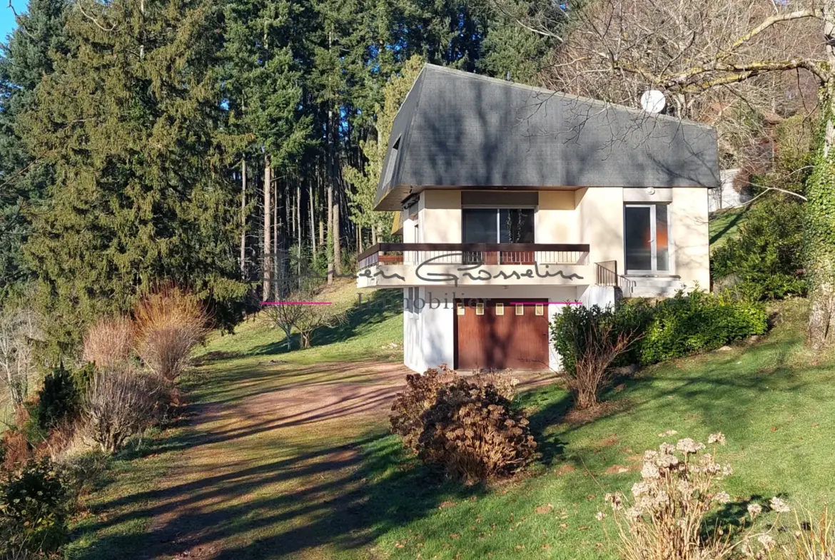 Maison d'architecte à Thizy-les-Bourgs avec vue panoramique 