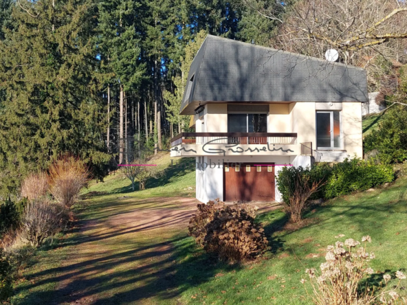 Maison d'architecte à Thizy-les-Bourgs avec vue panoramique