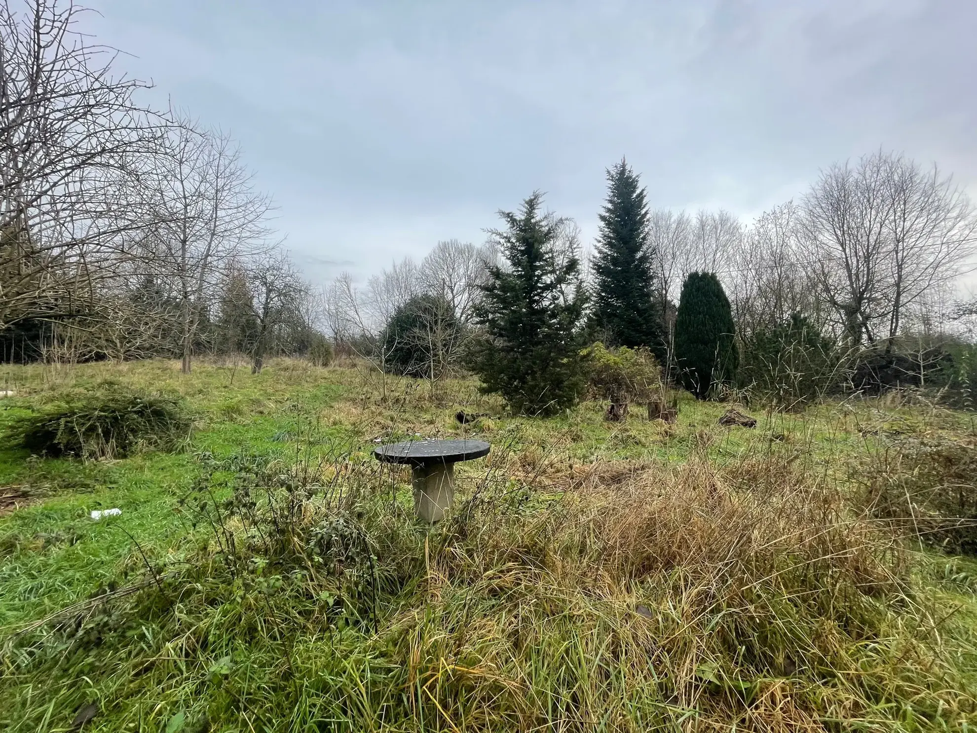 Charmante maison à rénover à Lyons la forêt 