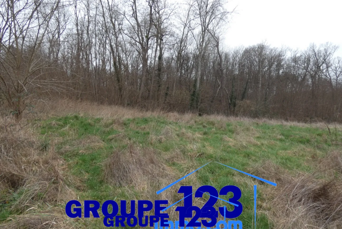 Terrain constructible de 2247 m² à Appoigny 