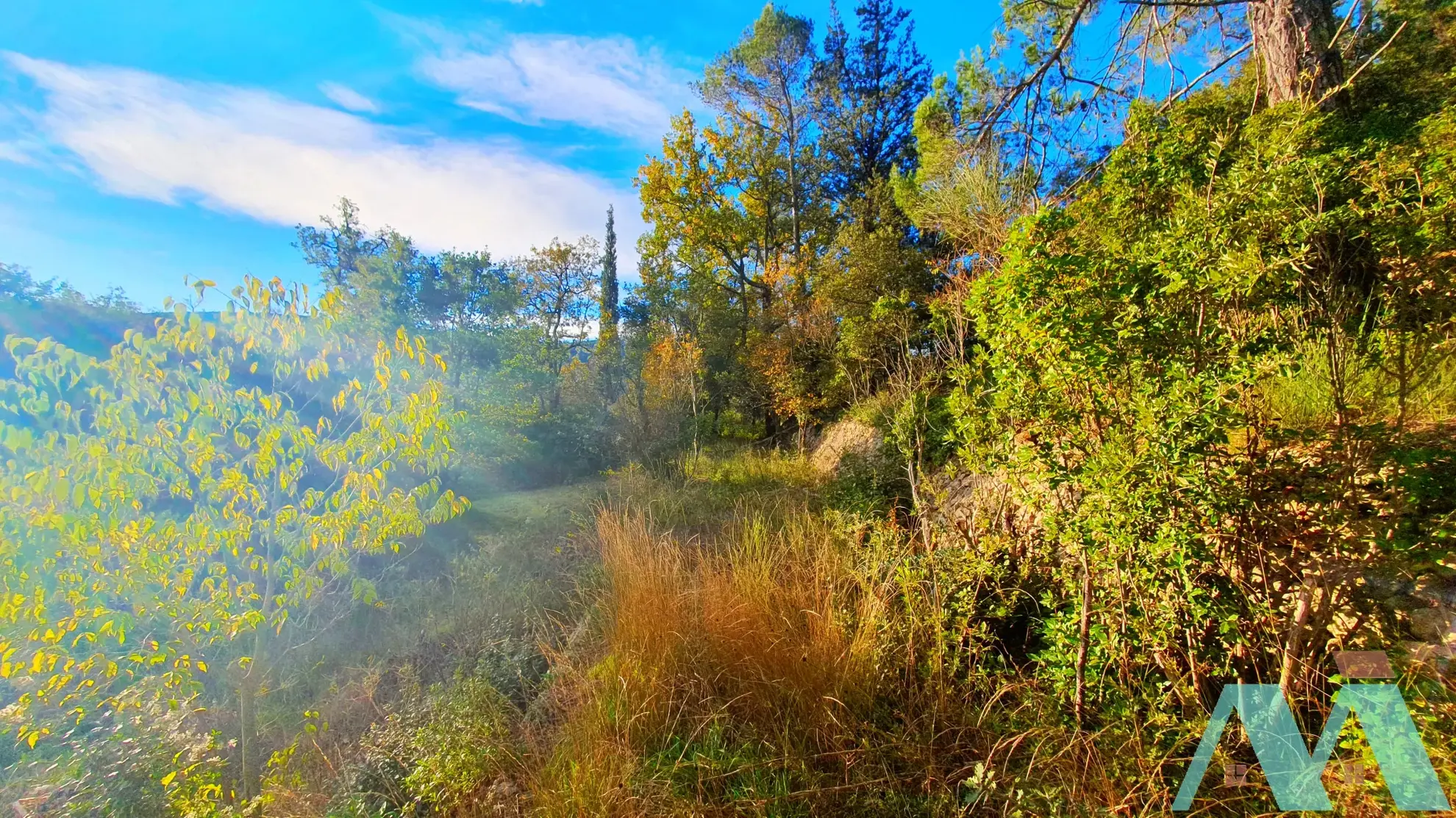 Terrain à bâtir 750 m² à Signes - Opportunité rare 