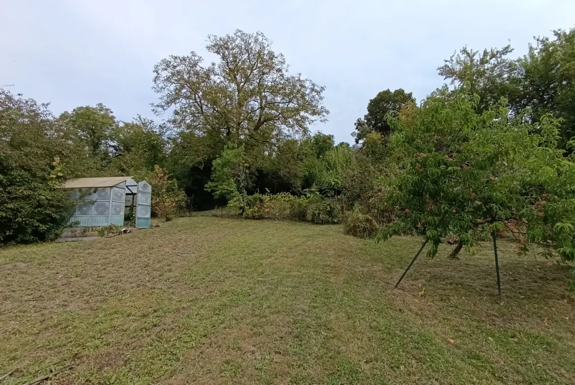 Maison à Vichy avec garage et jardin à vendre 