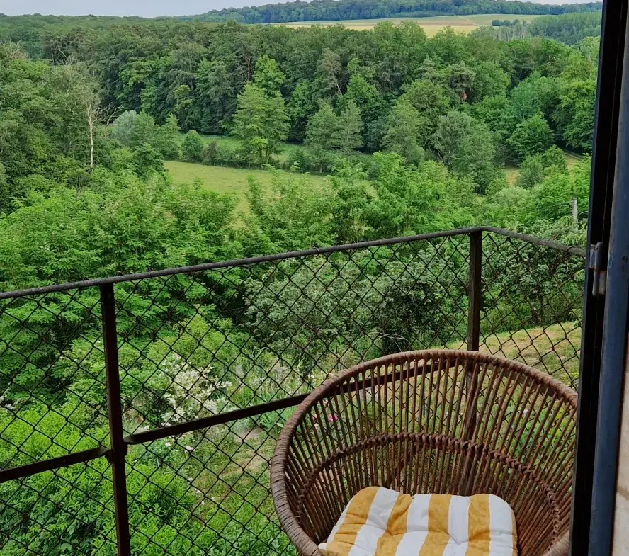 Maison ancienne avec vues superbes à Chatillon sur Saône 