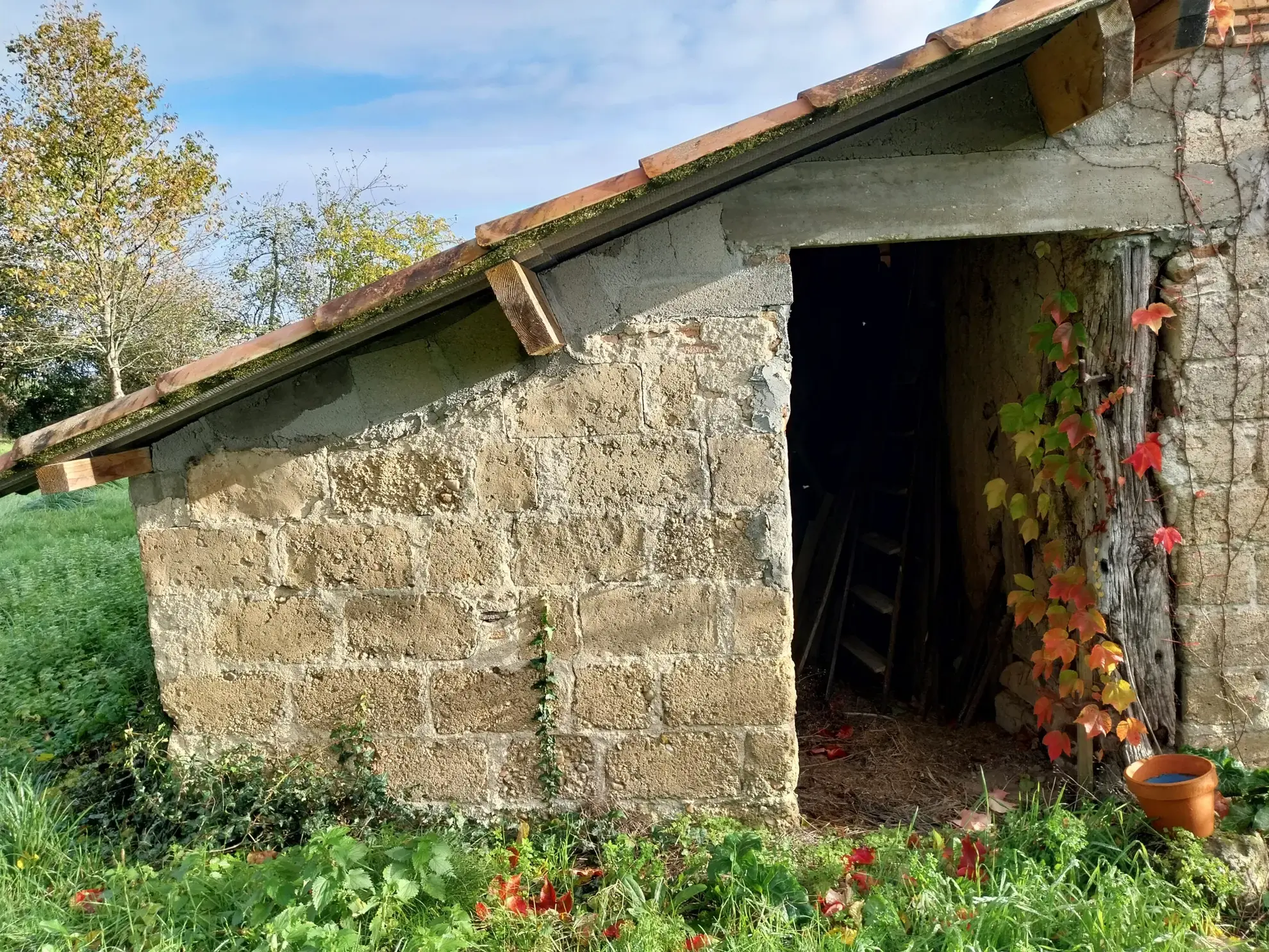 Ensemble immobilier paisible sur 13 hectares à St Laurent des Hommes 