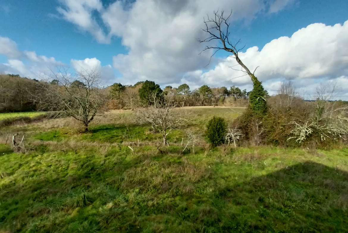 Ensemble immobilier paisible sur 13 hectares à St Laurent des Hommes 