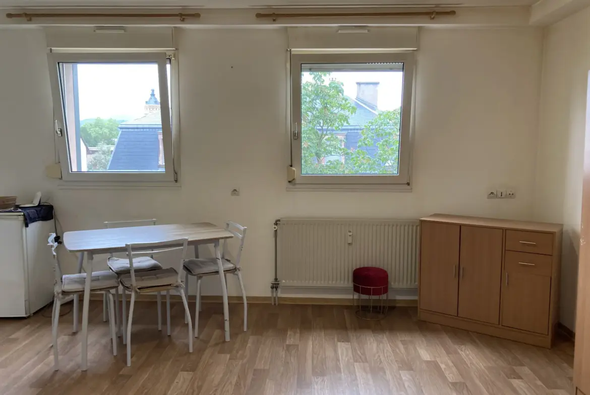 À vendre : studio lumineux à Sélestat, résidence Emmanuel 