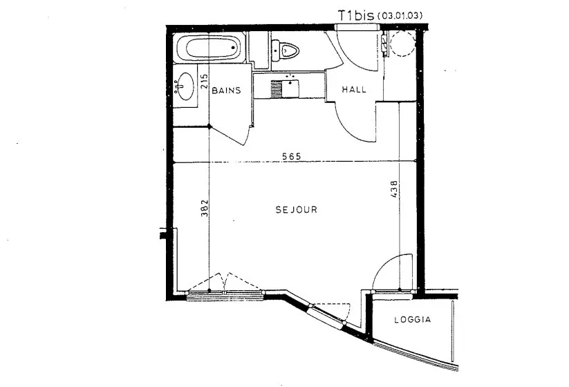 T1 bis lumineux avec loggia sur jardin à Villeurbanne 