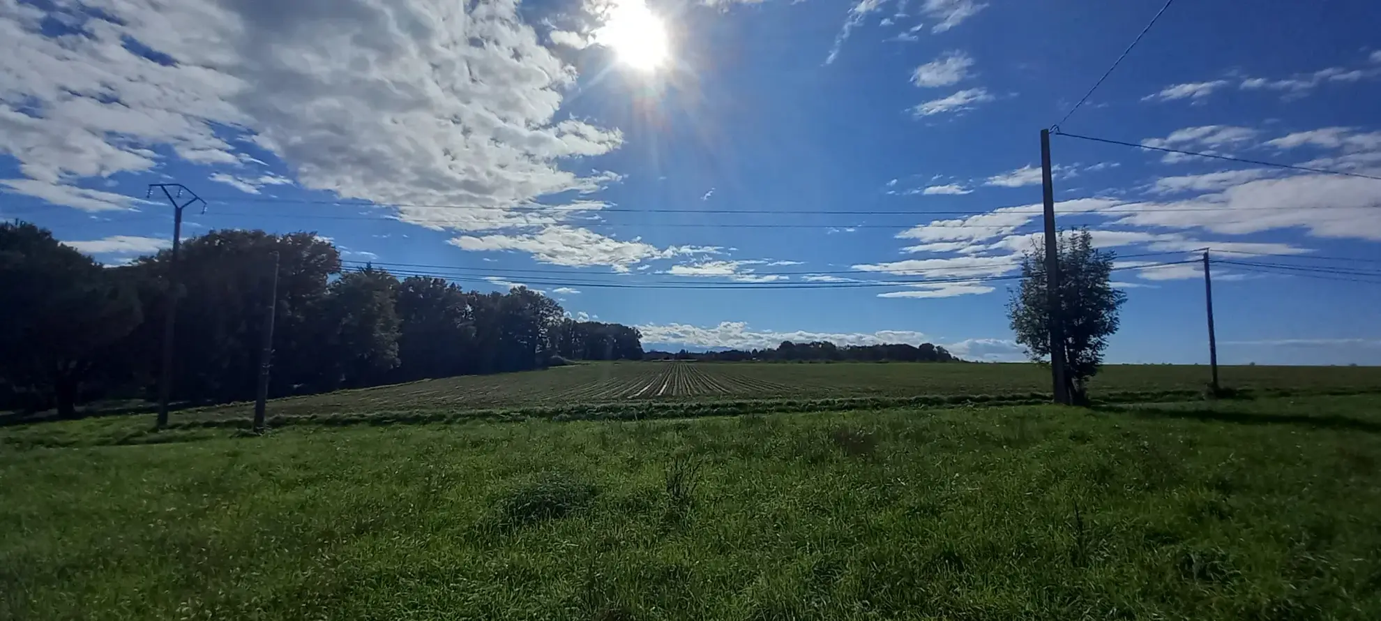 Terrain à bâtir de 1418 m² avec vue Pyrénées à Casteide-Doat 