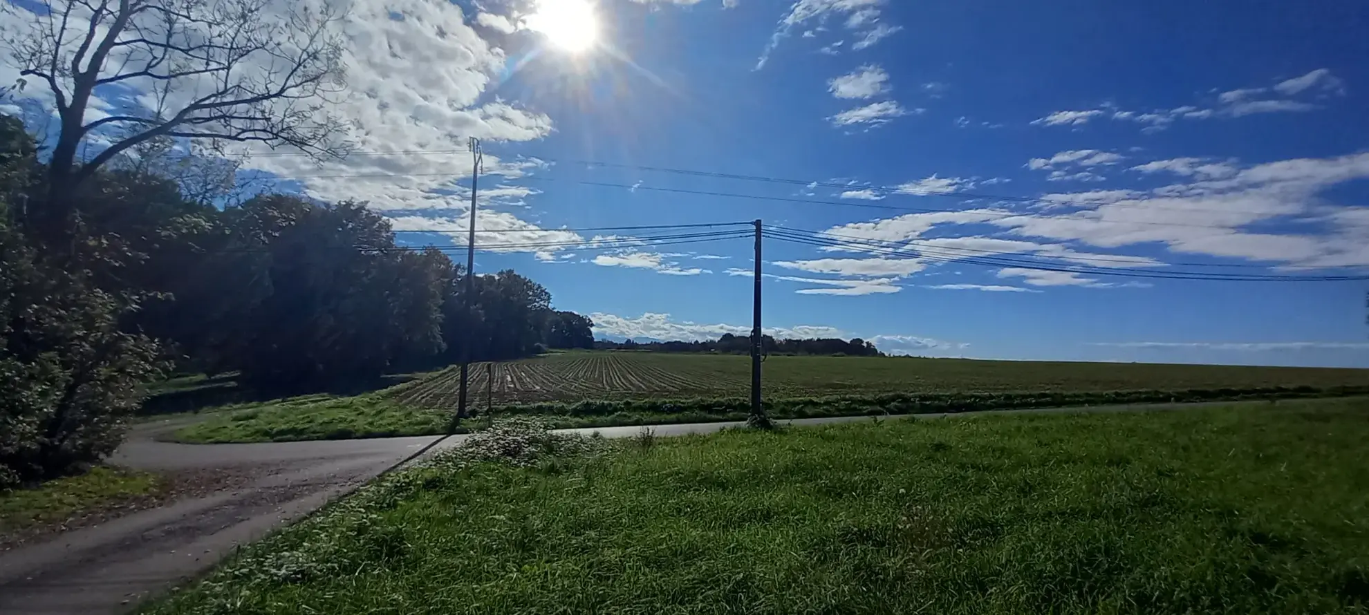 Terrain à bâtir de 1418 m² avec vue Pyrénées à Casteide-Doat 