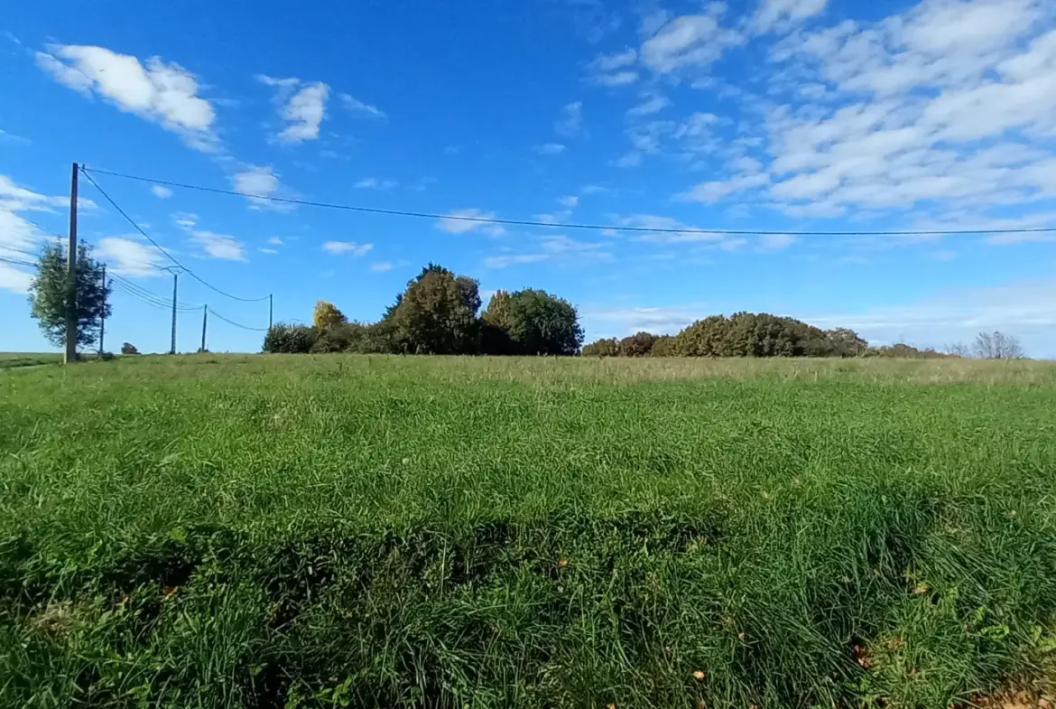 Terrain à bâtir de 1418 m² avec vue Pyrénées à Casteide-Doat 