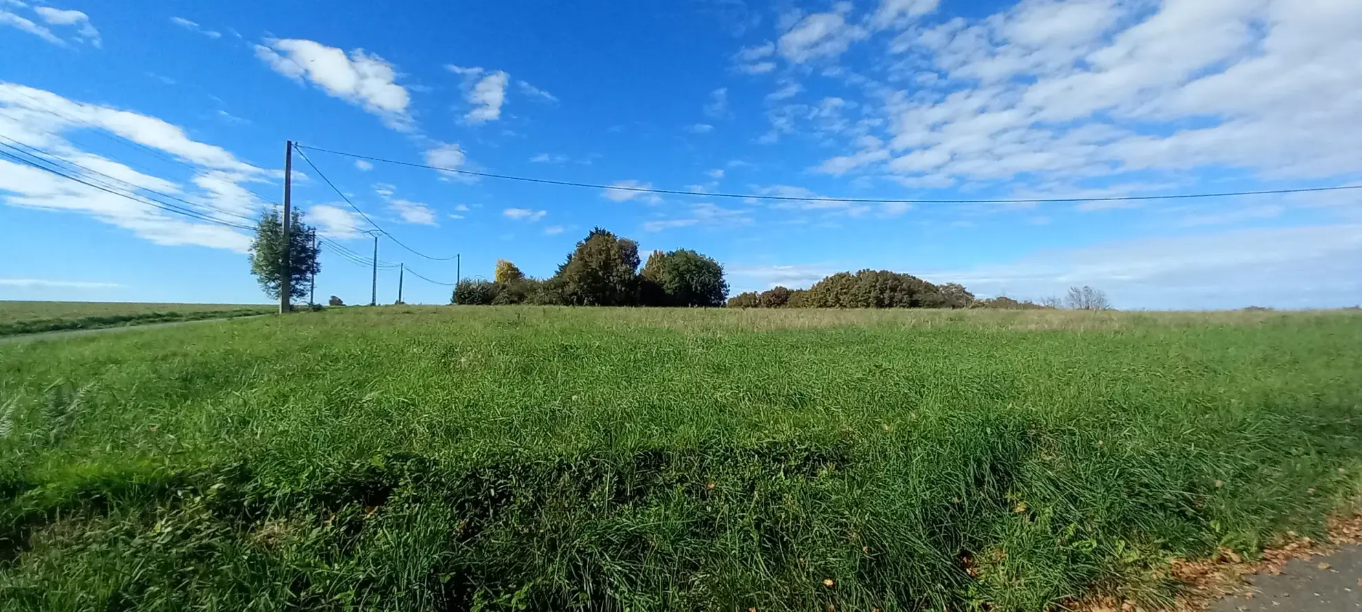 Terrain à bâtir de 1418 m² avec vue Pyrénées à Casteide-Doat 