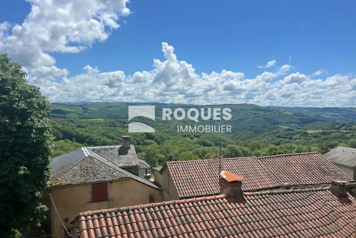 Château historique à vendre à Martrin - Commanderie hospitalière du XVème siècle 