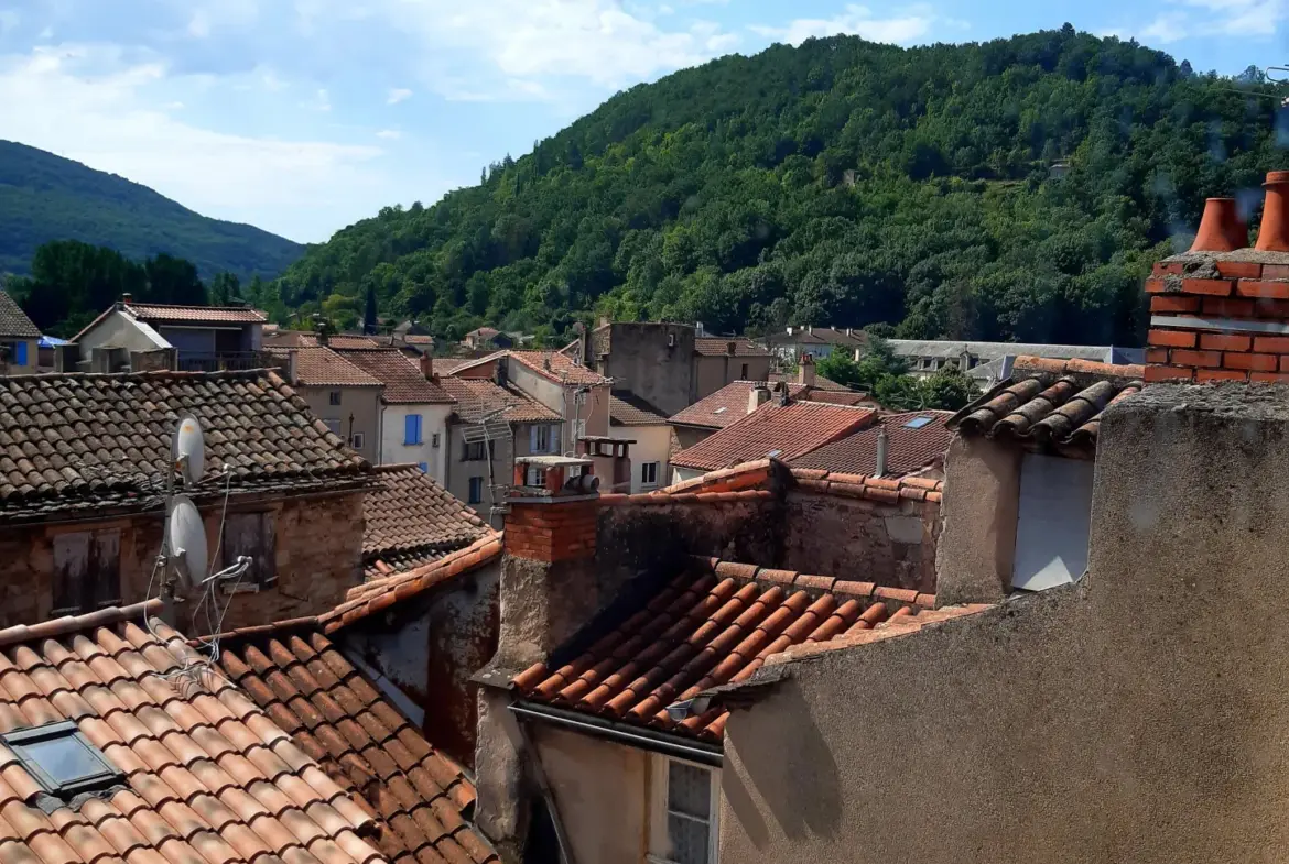 Maison de maître à vendre à Saint-Affrique 