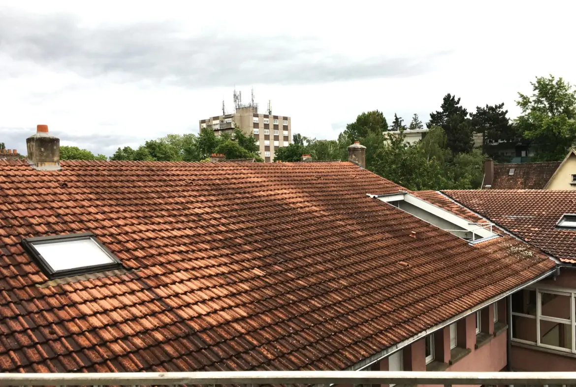 À vendre : Appartement T4 de 95,33 m² à Mulhouse 