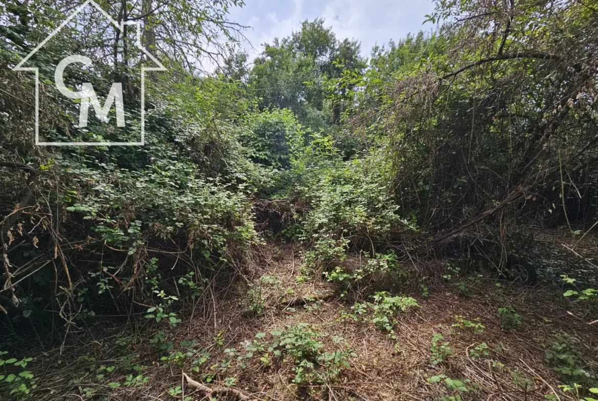 Maison plain-pied à vendre avec jardin à Ségry 