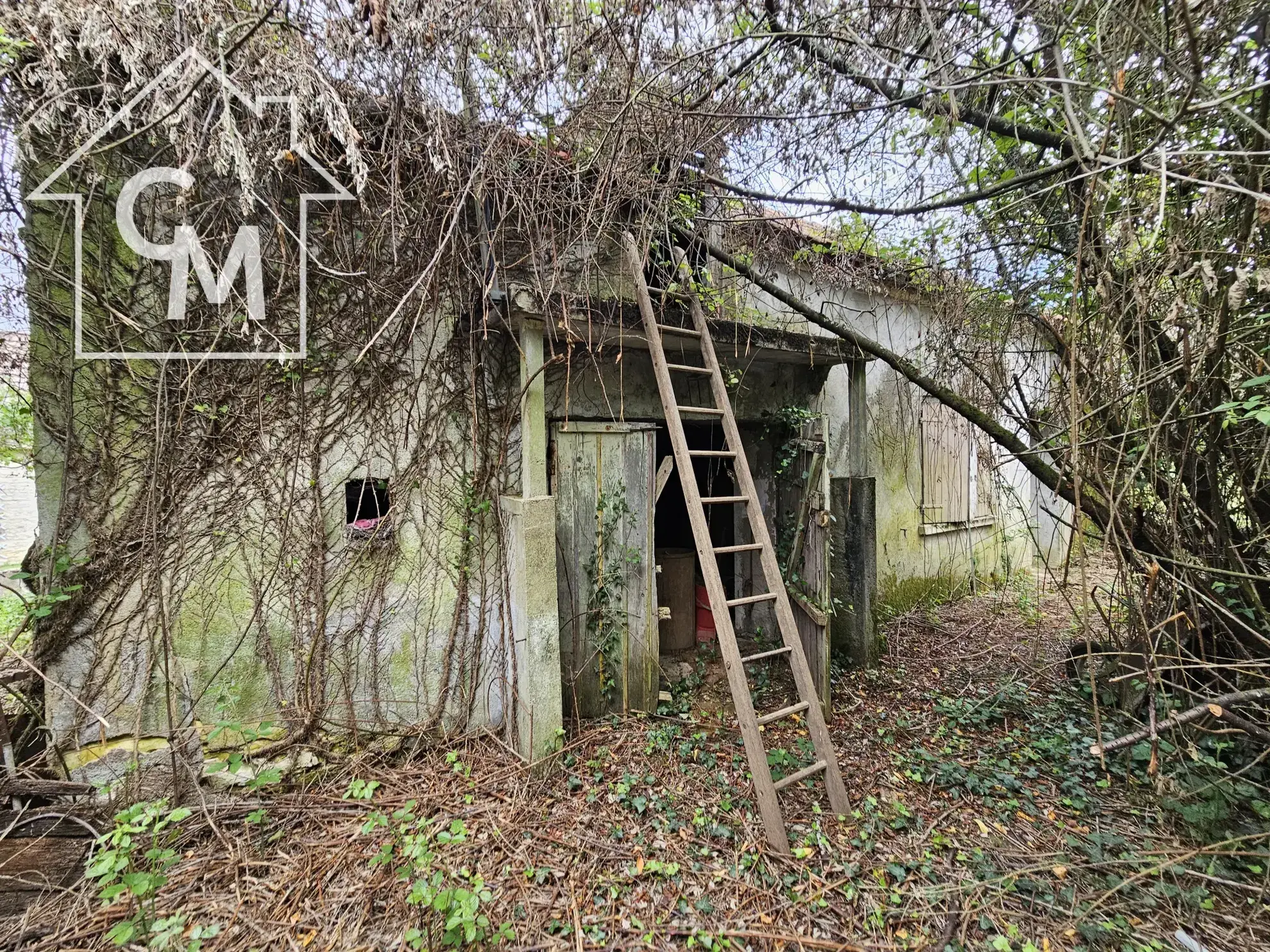 Maison plain-pied à vendre avec jardin à Ségry 