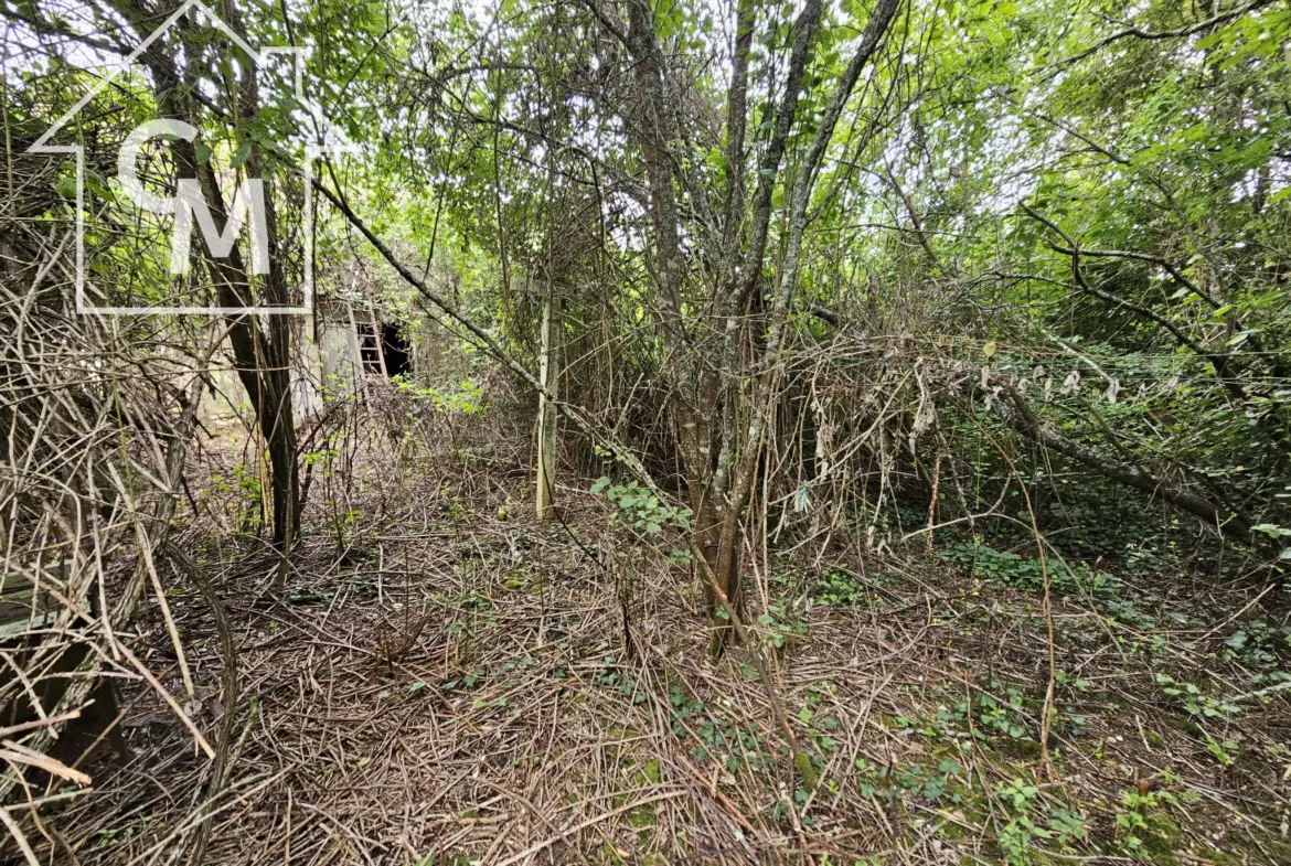 Maison plain-pied à vendre avec jardin à Ségry 