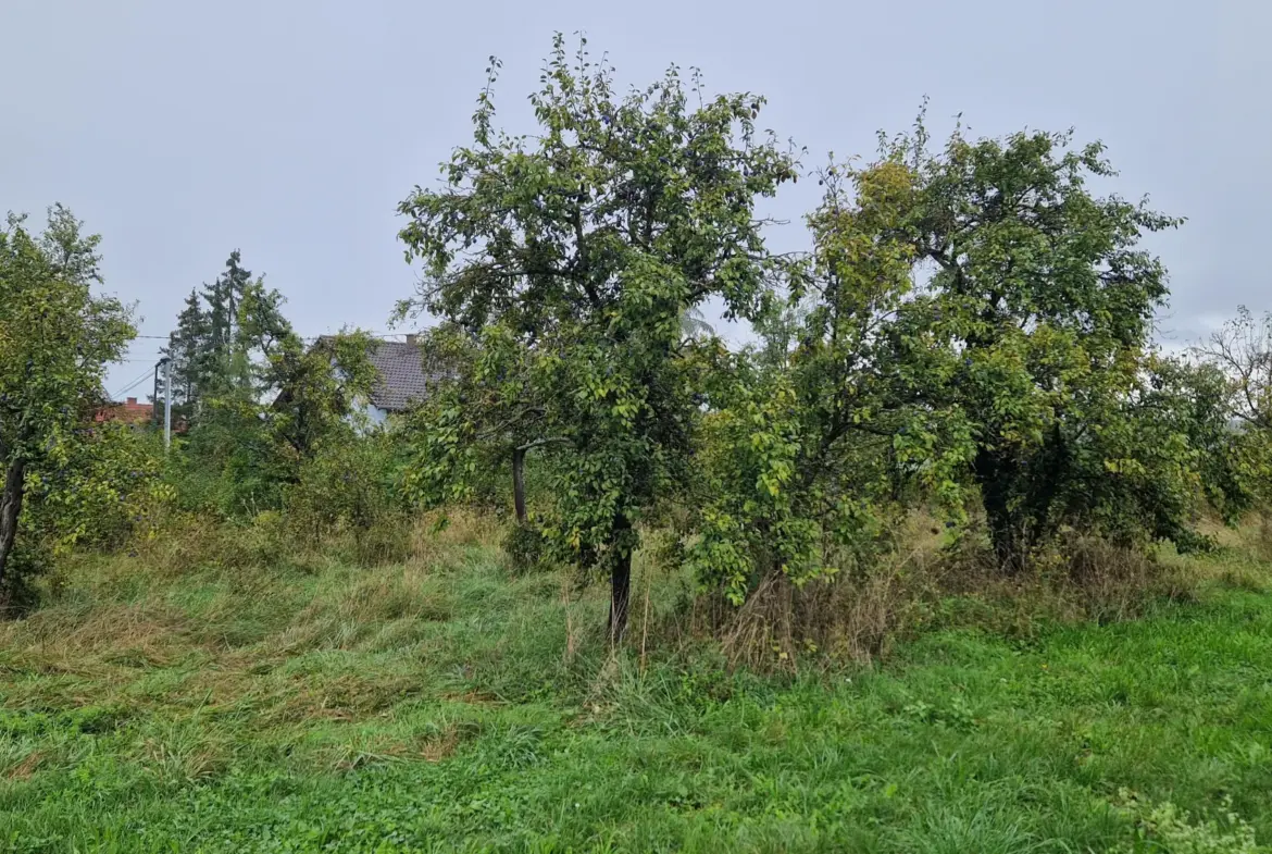 Terrain à bâtir de 773 m2 à Balbronn - Opportunité à saisir 