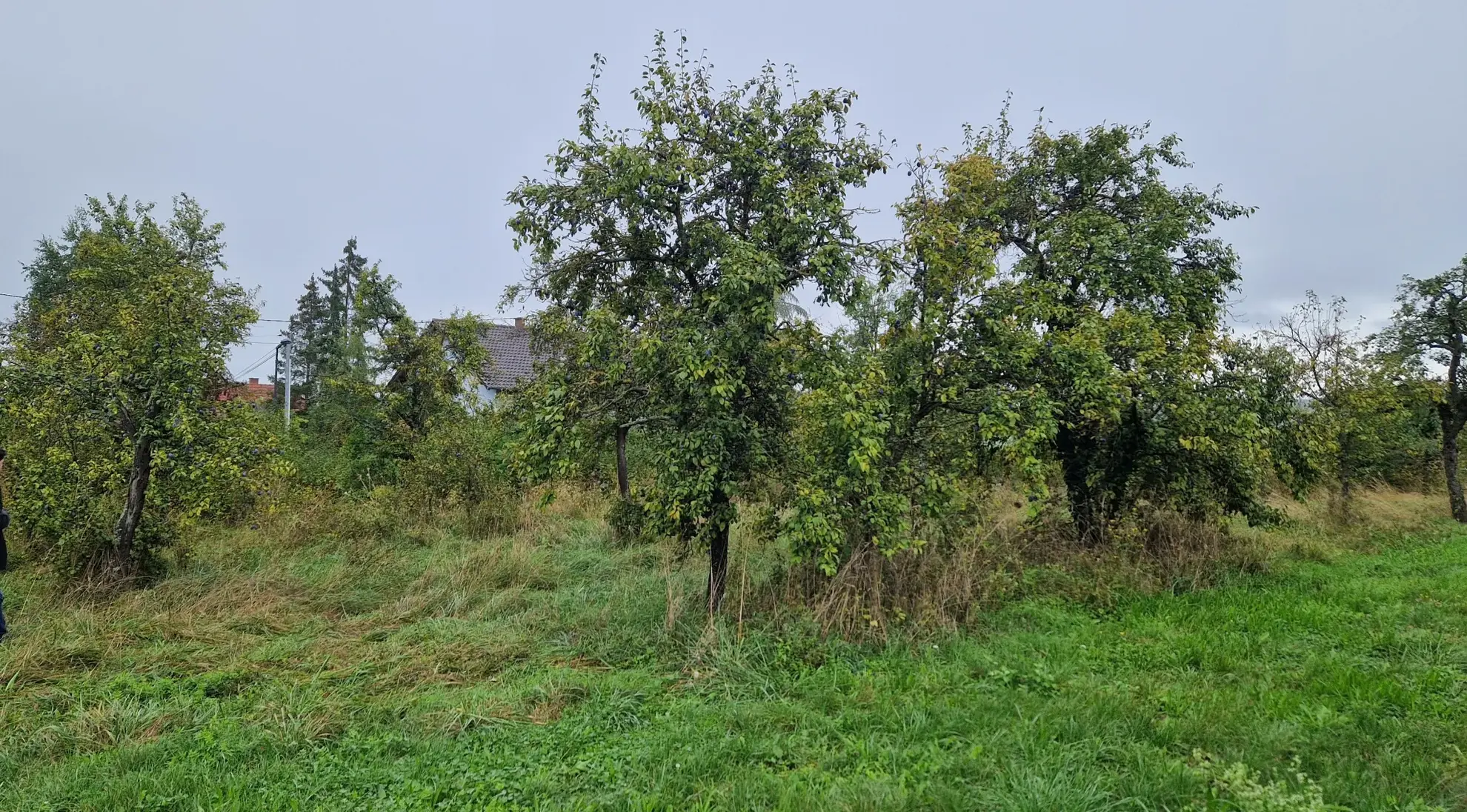 Terrain à bâtir de 773 m2 à Balbronn - Opportunité à saisir 