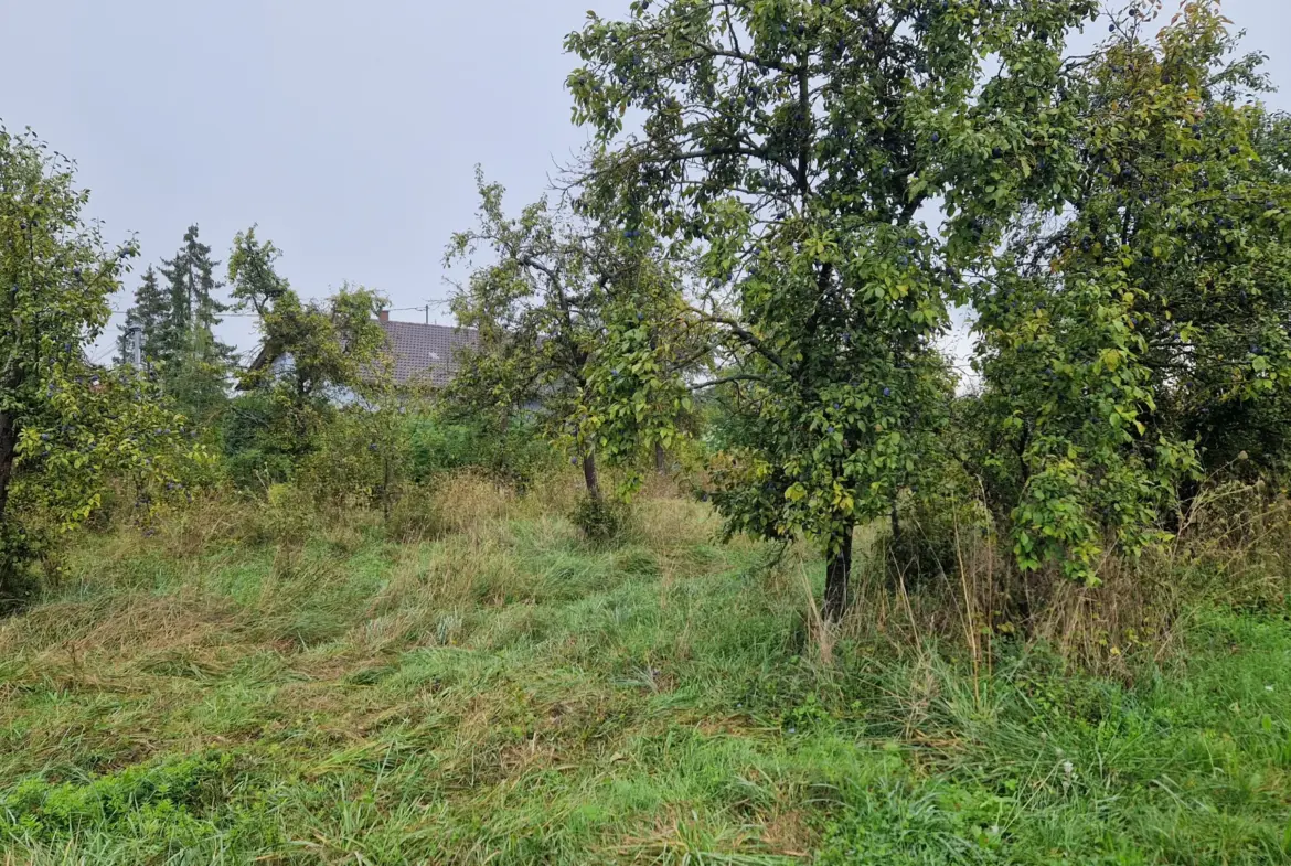 Terrain à bâtir de 773 m2 à Balbronn - Opportunité à saisir 