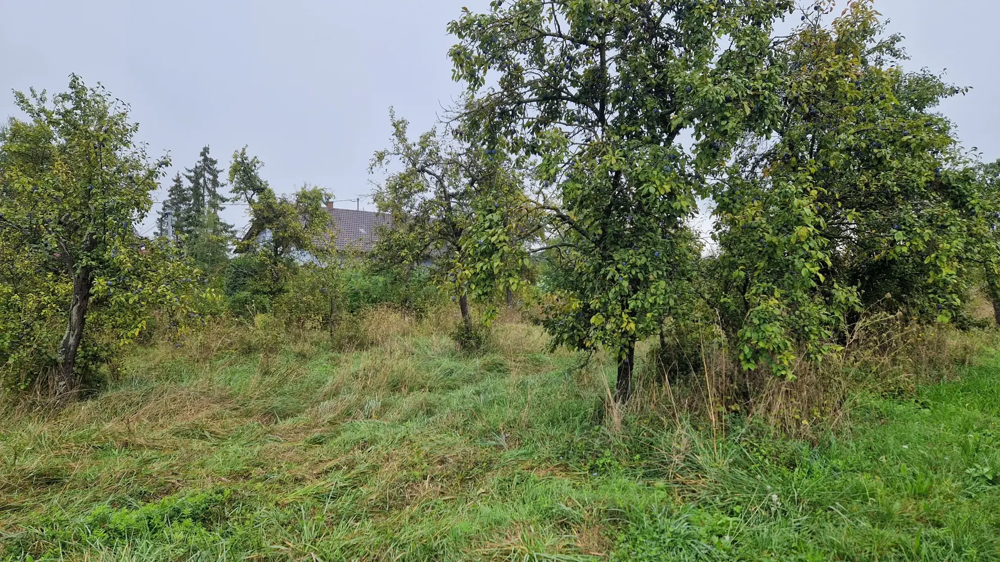 Terrain à bâtir de 773 m2 à Balbronn - Opportunité à saisir 