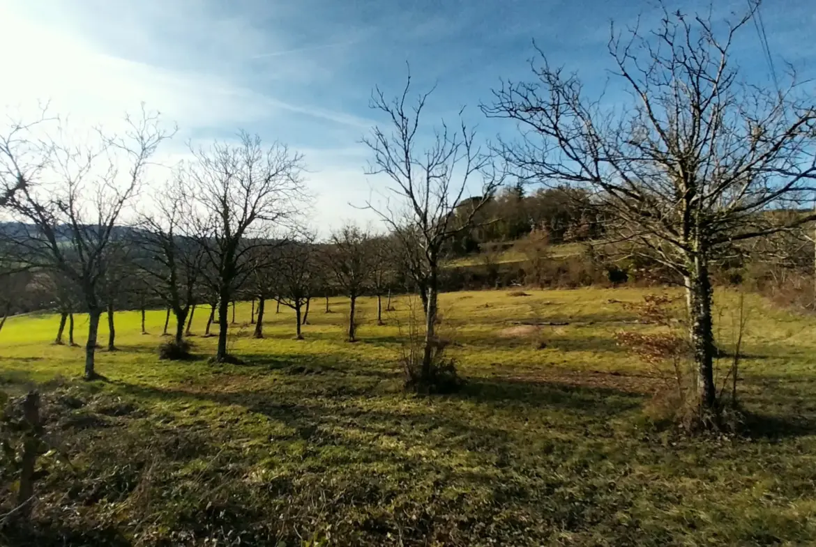 Ensemble de 2 Habitaitons de Plain-Pied au Calme près de Ribérac 