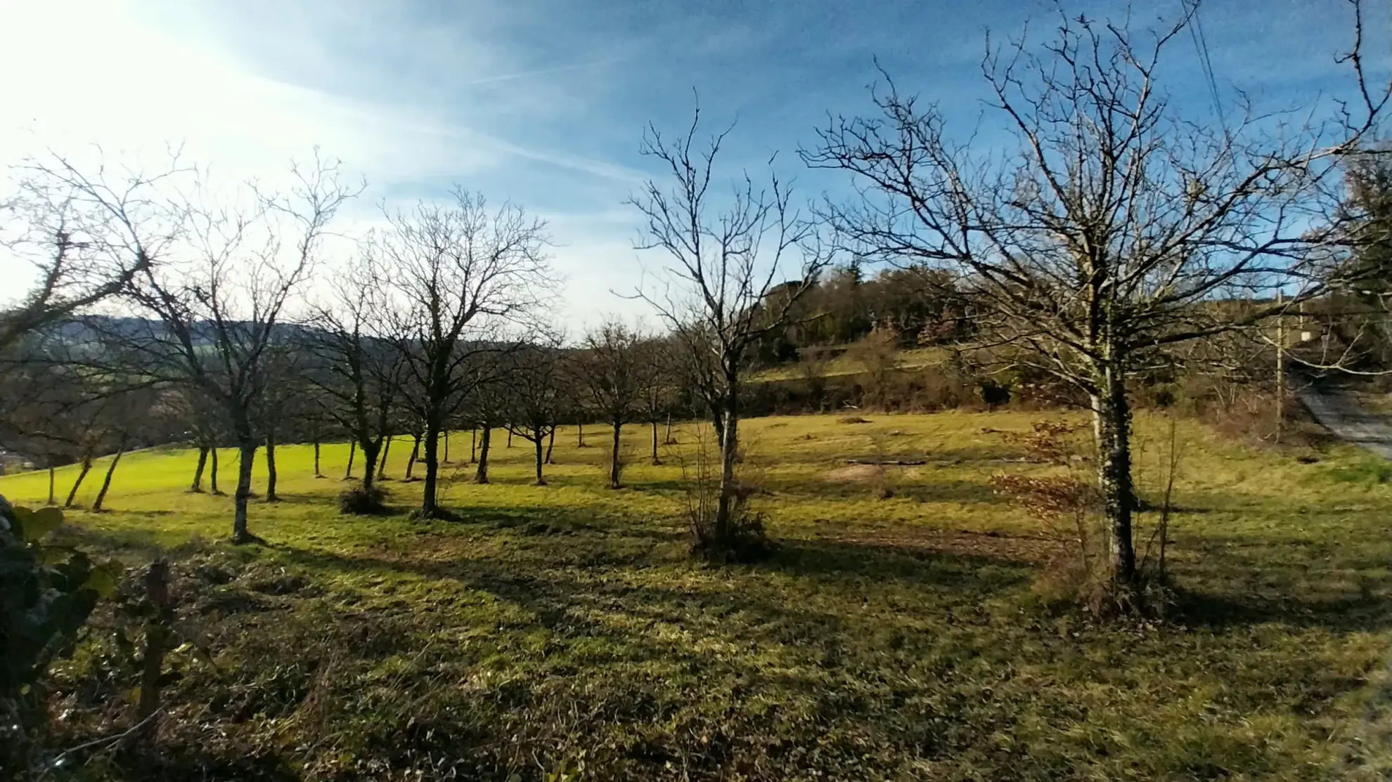 Ensemble de 2 Habitaitons de Plain-Pied au Calme près de Ribérac 