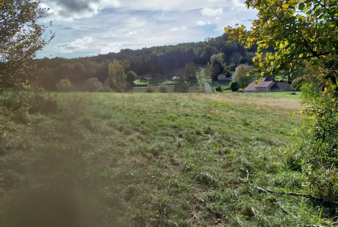 Ensemble de 2 Habitaitons de Plain-Pied au Calme près de Ribérac 