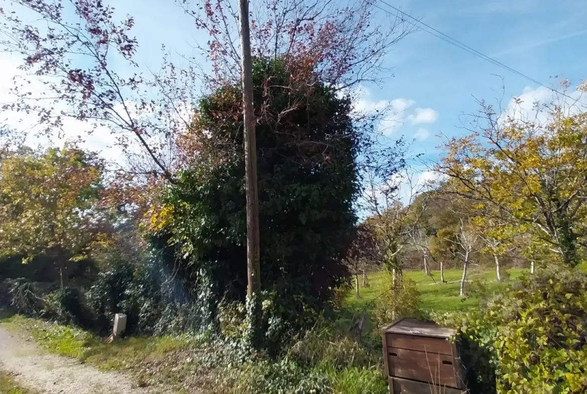 Ensemble de 2 Habitaitons de Plain-Pied au Calme près de Ribérac 