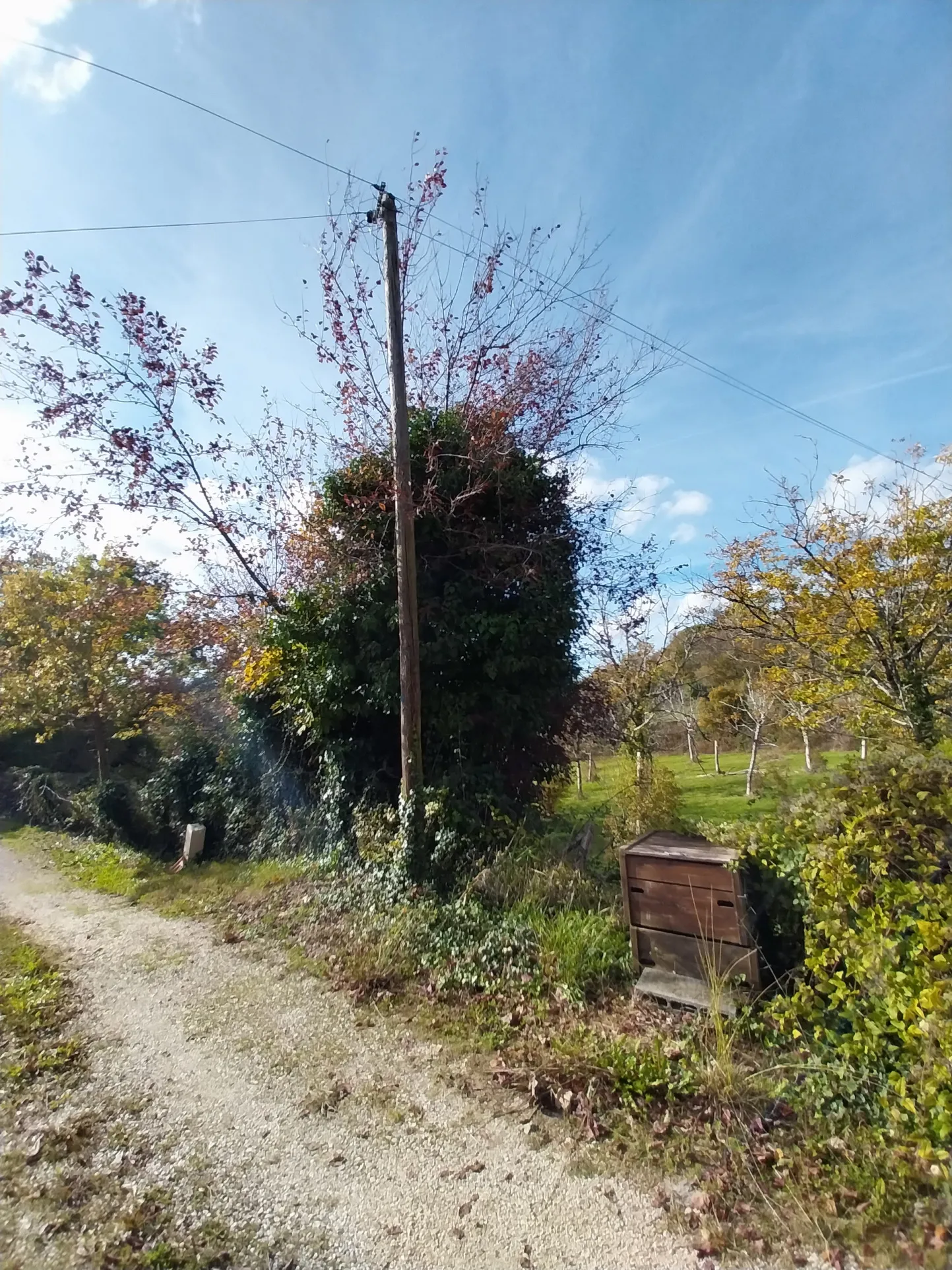 Ensemble de 2 Habitaitons de Plain-Pied au Calme près de Ribérac 