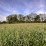 Terrain viabilisé à vendre au Tourneur - Souleuvre en Bocage