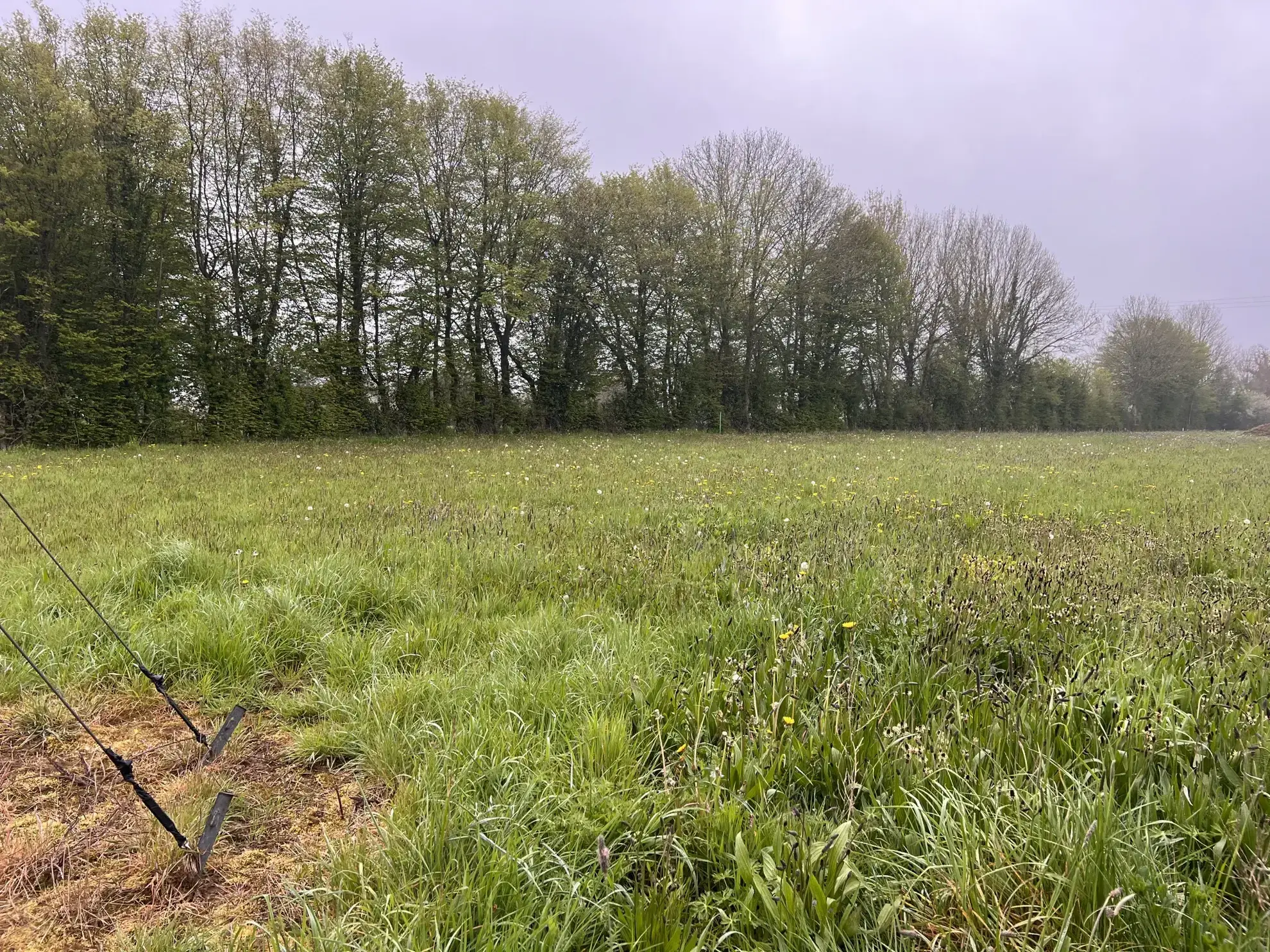 Terrain viabilisé à bâtir à Le Tourneur, Souleuvre en Bocage 