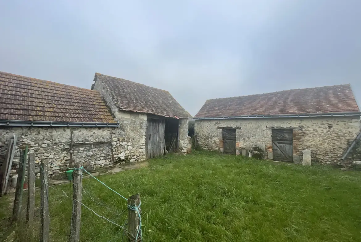 Maison de campagne à vendre à Noyant - 137 m² 