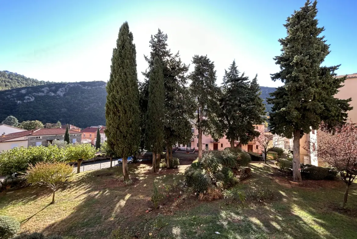 Charmant appartement F2 avec terrasse à Amélie-les-bains 