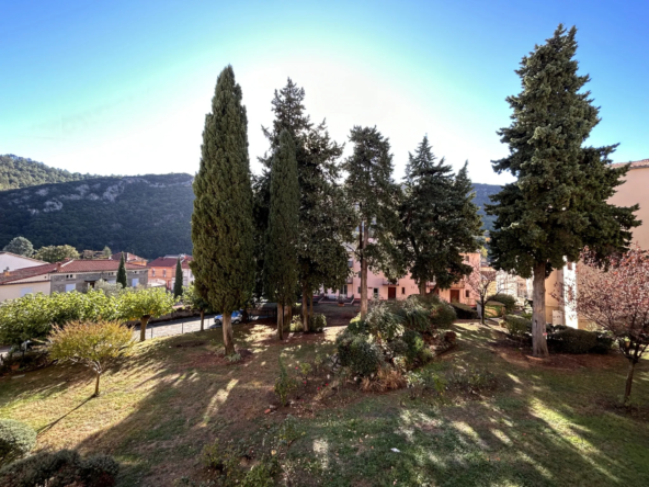 Charmant appartement F2 avec terrasse à Amélie-les-bains