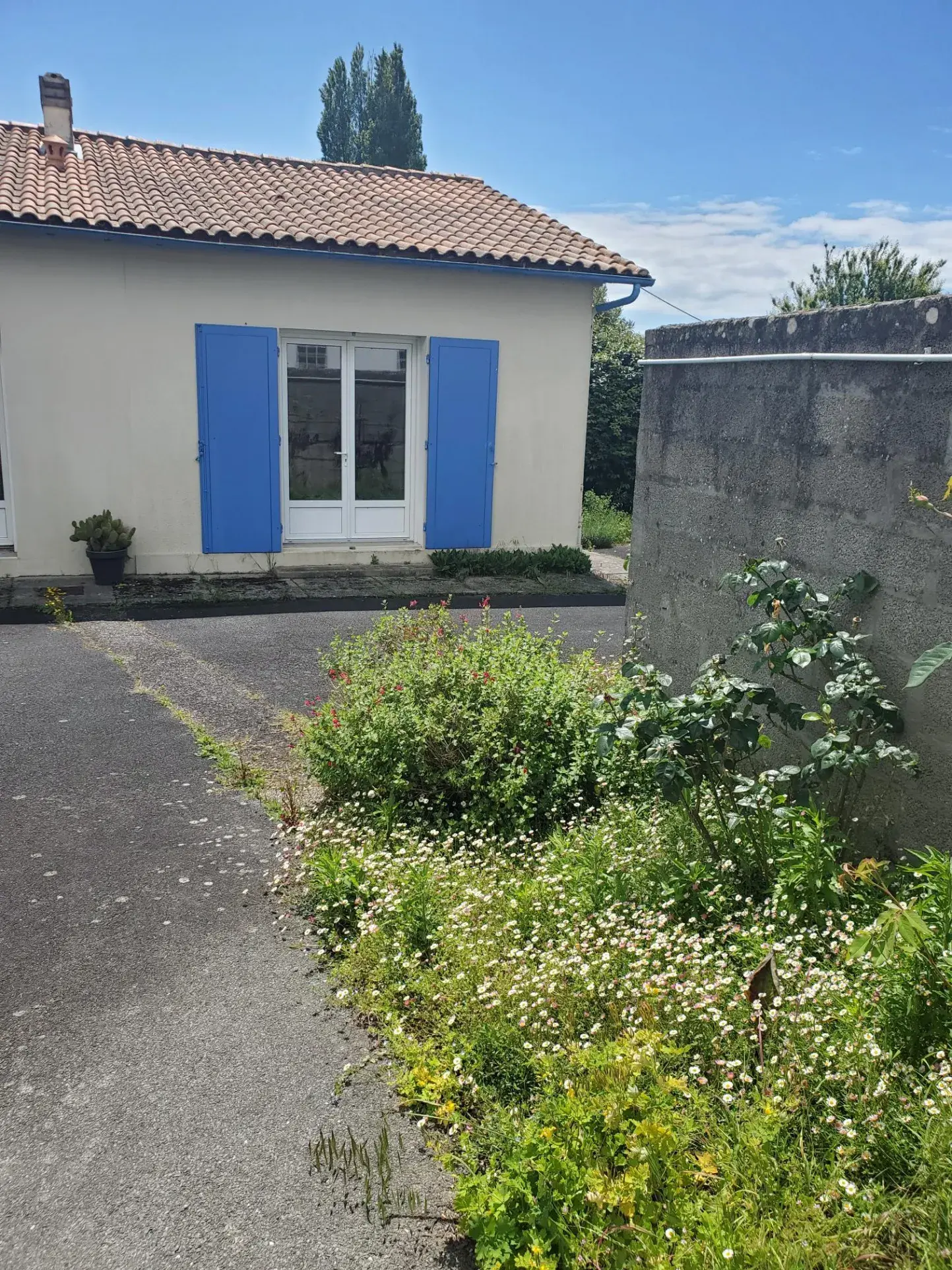 Maison 42 m2 à Saint-Palais-sur-Mer avec jardin et parking 