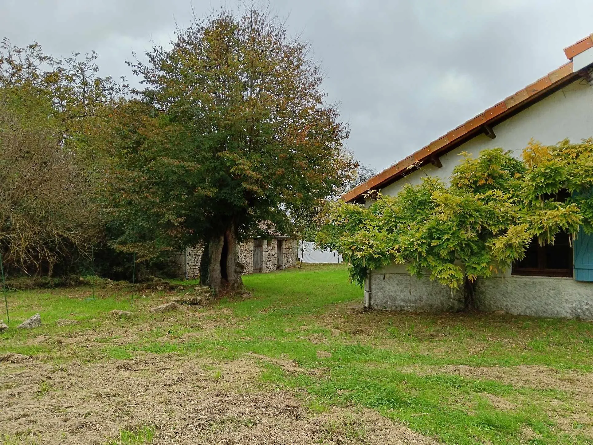 Maison de type longère à Messe avec 5 chambres à vendre 