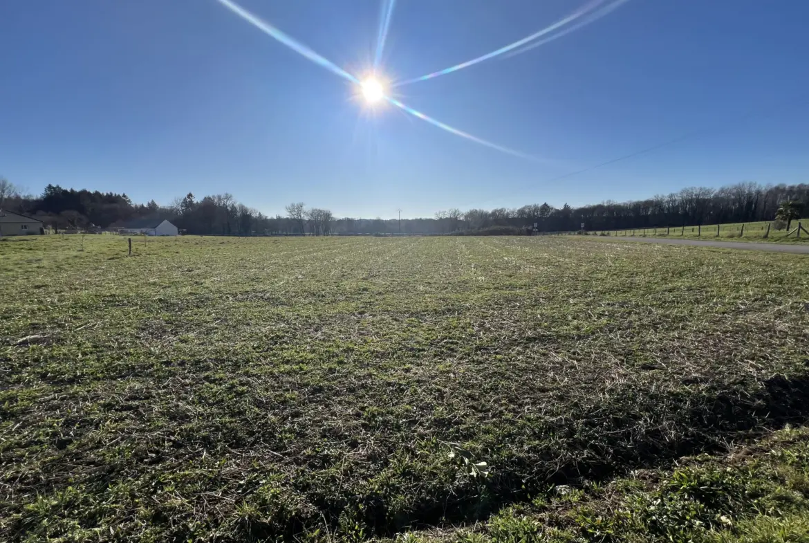 Terrain à bâtir calme de 2176 m² à Seilhac en Corrèze 