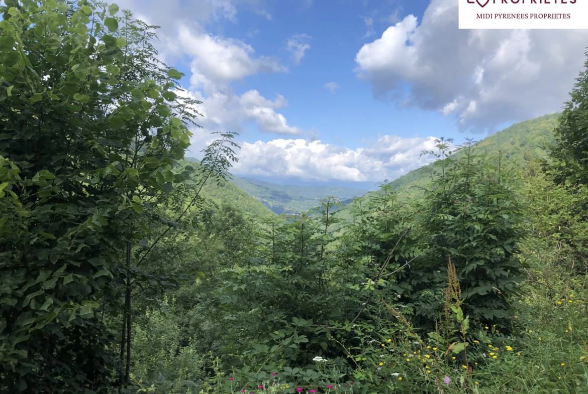 Maison de montagne avec vues panoramiques à Massat 