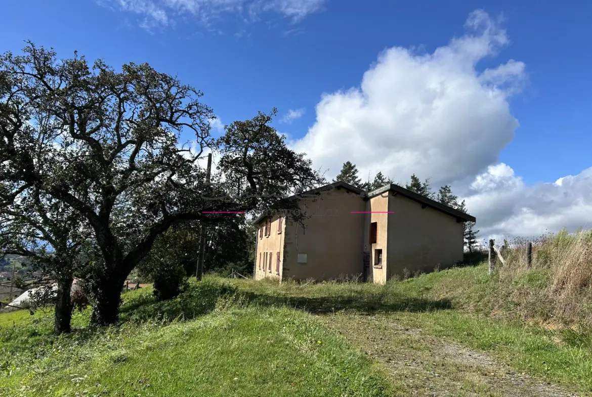 Maison à vendre à Tarare - 107 m² avec 3 chambres et terrain 