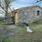 Vente d'une ancienne bergerie avec jardin à Villardebelle